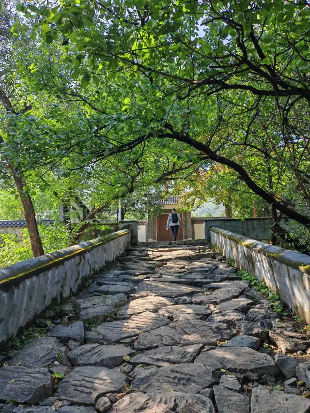 陽台山妙峰古道 徒步青石板路
