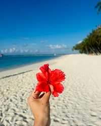 Amazing Resort Experience