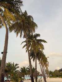 An Unforgettable Honeymoon Experience