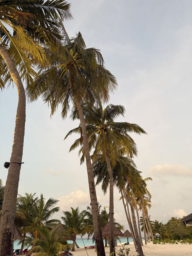 An Unforgettable Honeymoon Experience An Unforgettable Honeymoon Experience