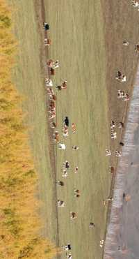 最美秋色——大興安嶺