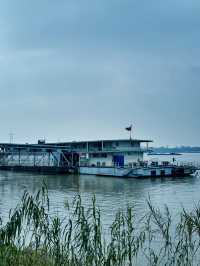 江城漫步，長江如畫 自然與人文的江景協奏曲