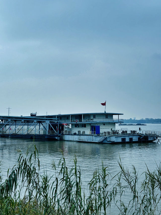 江城漫步，長江如畫 自然與人文的江景協奏曲