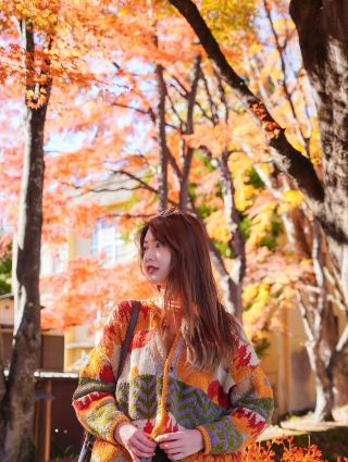 Japan's autumn foliage season is here! A look back at last year's stunning maple views