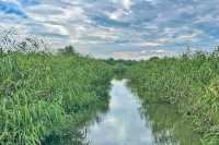 下渚湖國家濕地公園