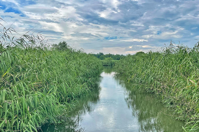 下渚湖國家濕地公園