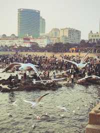 青島出遊之棧橋餵海鷗看落日