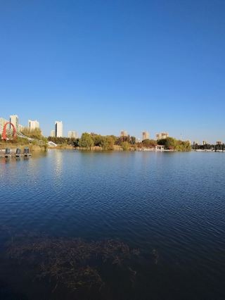 백성 필수 여행 완전 정복! ‘습지의 도시’가 선사하는 자연의 기적 여행