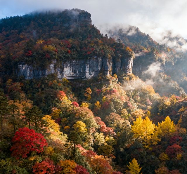 秋色天花板！瓦屋山彩林進入最佳觀賞期，錯過再等一年
