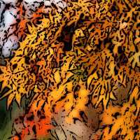 悉尼近郊絕美秘境封神了！