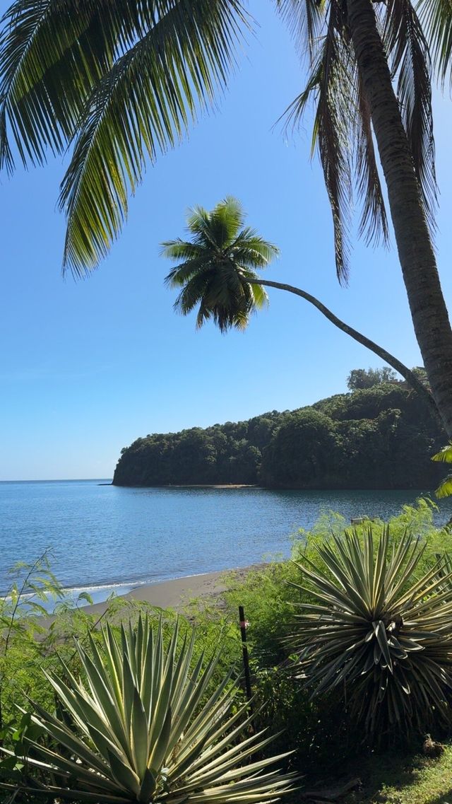 A Stunning Black Sand Beach Experience A Stunning Black Sand Beach Experience