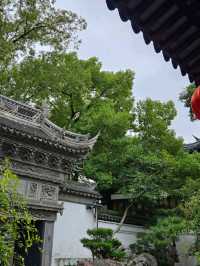 Yu Garden Serenity🌿