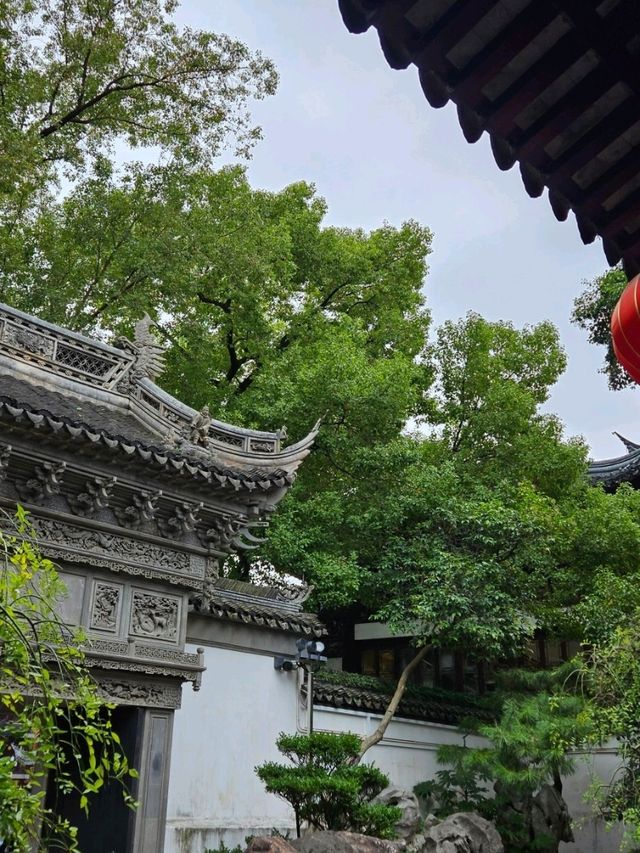 Yu Garden Serenity🌿 Yu Garden Serenity🌿