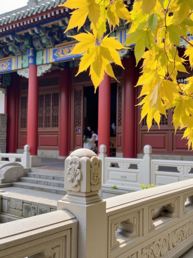 甘肅絕美秘境發現隴版小九寨,人少景靚唔使驚! 甘肅絕美秘境發現隴版小九寨,人少景靚唔使驚!