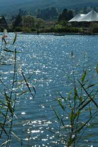 麗江秋冬必衝!阿美澤把浪漫焊在雪山