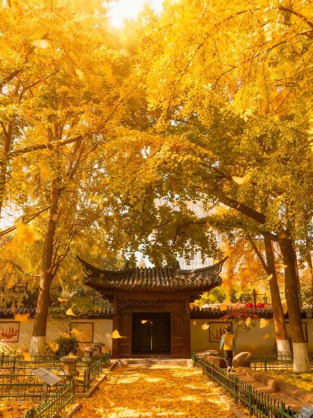 明孝陵2日遊攻略