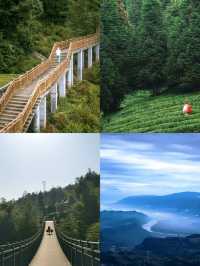 蒙頂山登天蓋寺觀雲海觸摸天空的藍