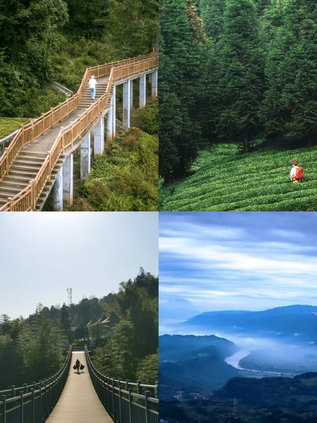 蒙頂山登天蓋寺觀雲海觸摸天空的藍
