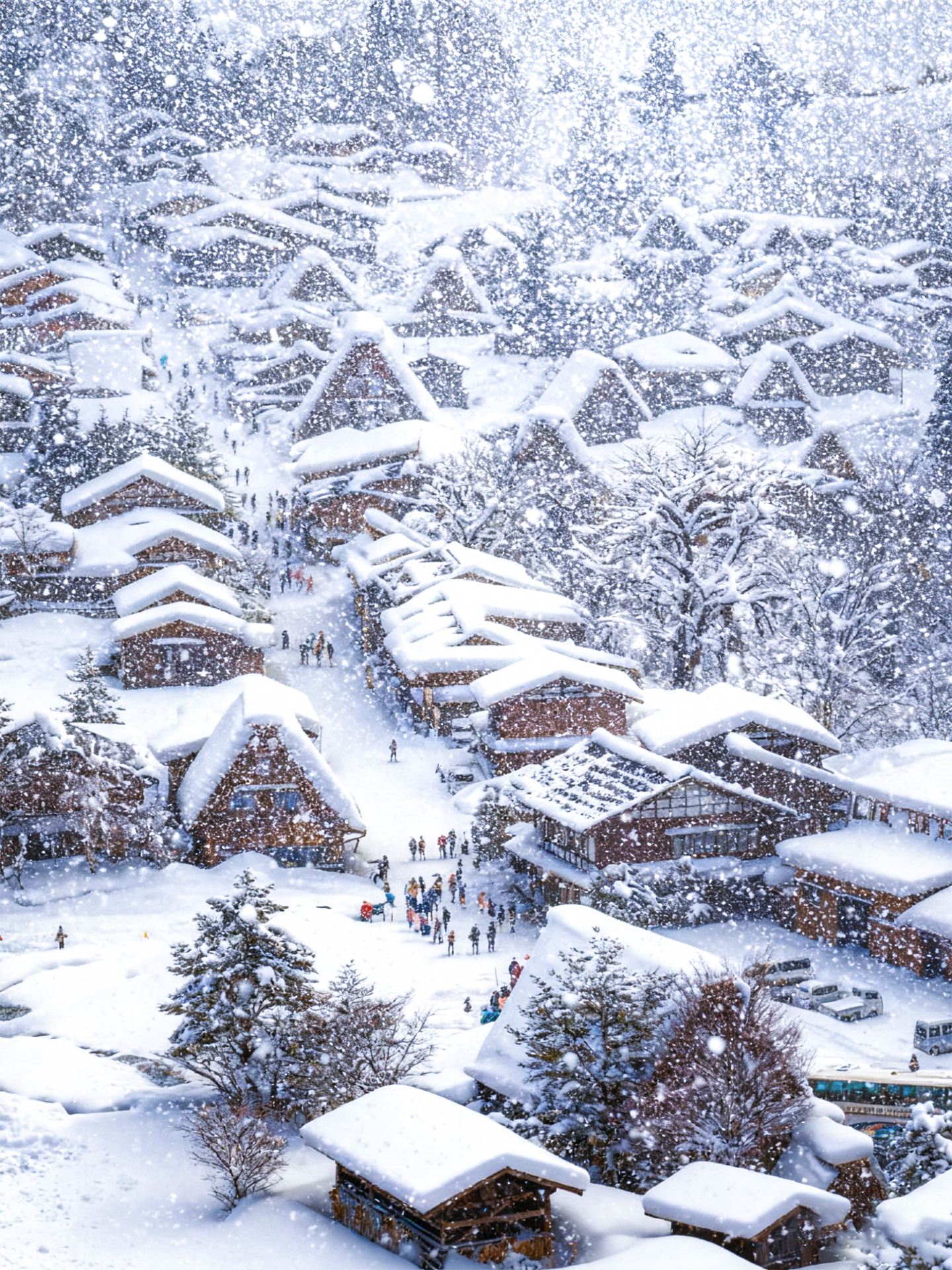 Stop rushing to Hokkaido! The Chubu snow scenery is stunning, a hidden gem to avoid the crowds