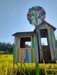 祁門蘆荔稻田遊玩攻略