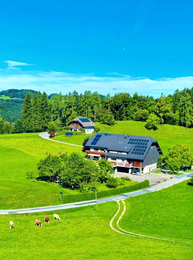 闖進電腦螢幕保護程式！是哈哈哈哈爾施塔特 十年前在瑞士被阿爾卑斯山美了一大跳 在下著雪的童話般的小鎮