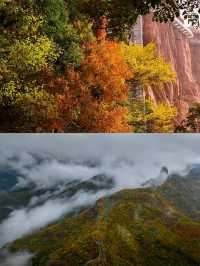 在武安發現一家神仙酒店