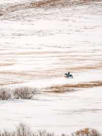 赴一場雪原星空之約