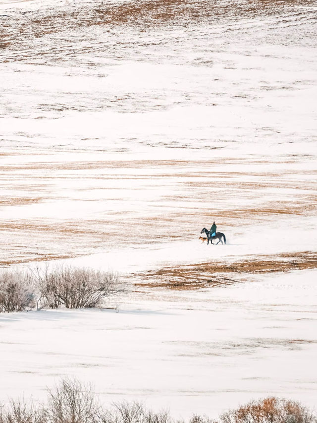 赴一場雪原星空之約
