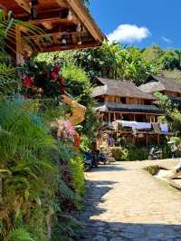 世遺糯乾古寨~在千年茶山與雲海之間穿梭