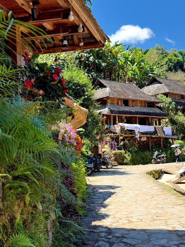 世遺糯乾古寨~在千年茶山與雲海之間穿梭 世遺糯乾古寨~在千年茶山與雲海之間穿梭