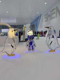 赴一場冬日的冰雪之約