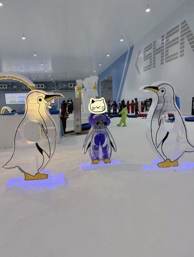 赴一場冬日的冰雪之約