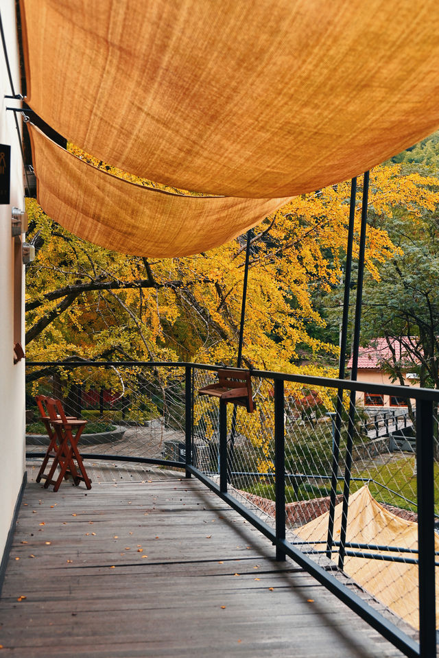 莫干山秋天的2種打開方式(附路線攻略) 莫干山秋天的2種打開方式(附路線攻略)