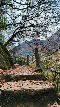 金龍峽徒步｜秦嶺秘境｜人少景美｜新手天堂