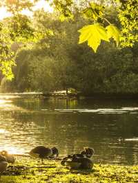 歐洲連遊12日遊攻略，碼住出發！