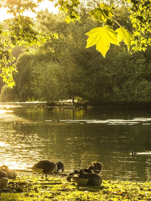 歐洲連遊12日遊攻略，碼住出發！