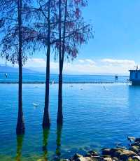 大理才是「懶人天堂」：不用趕行程，發呆、看雲、吃烤乳扇