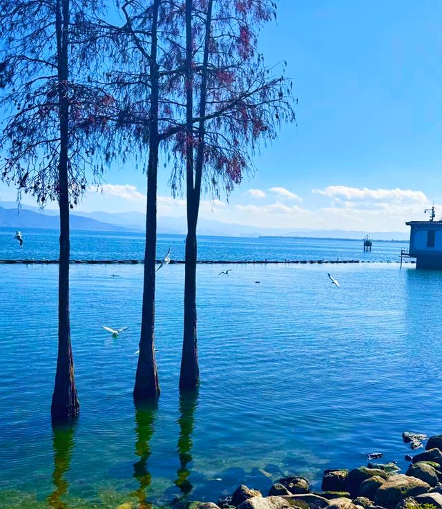 大理才是「懶人天堂」：不用趕行程，發呆、看雲、吃烤乳扇