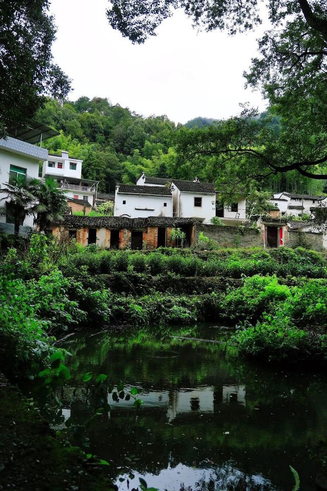 歙縣霞坑鎮察坑村：藏在皖南山水間的千年詩意