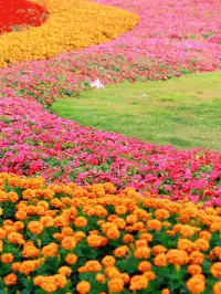 深圳地鐵直達的彩虹花海!這個公園太寶藏