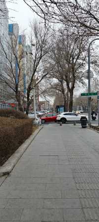 長春文化打卡指南｜藝術殿堂與百年學府全收錄