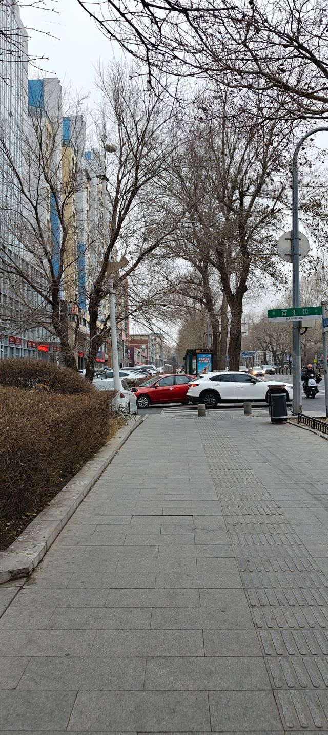 長春文化打卡指南｜藝術殿堂與百年學府全收錄