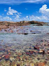 廣東私藏玻璃海!開車直達不登島,趕海輕鬆爆桶超嗨