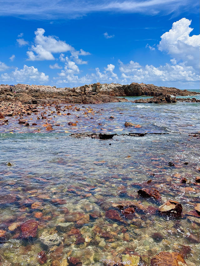 廣東私藏玻璃海!開車直達不登島,趕海輕鬆爆桶超嗨 廣東私藏玻璃海!開車直達不登島,趕海輕鬆爆桶超嗨