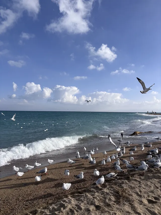 甘青線淡季遊西寧篇 甘青線淡季遊西寧篇