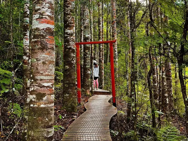 Brick Bay · 和毛孩子的森林時光 Brick Bay · 和毛孩子的森林時光