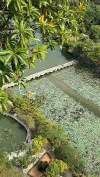 社恐狂喜！東門早8點入園我承包了整片天柱岩