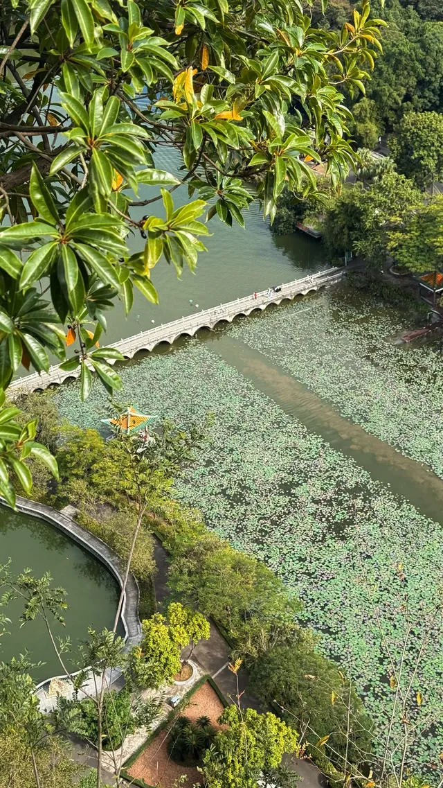 社恐狂喜！東門早8點入園我承包了整片天柱岩