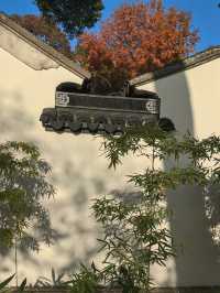 崑山2日遊：虎丘山、拙政園賞園林，周莊古鎮品水鄉