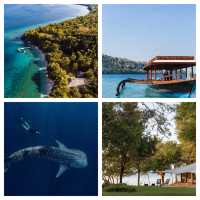 在安缦尋覓冬日暖陽